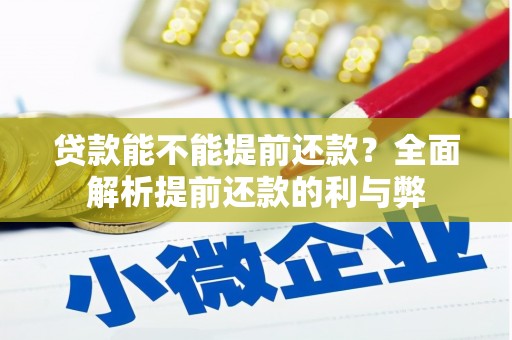 德保贷款能不能提前还款？全面解析提前还款的利与弊