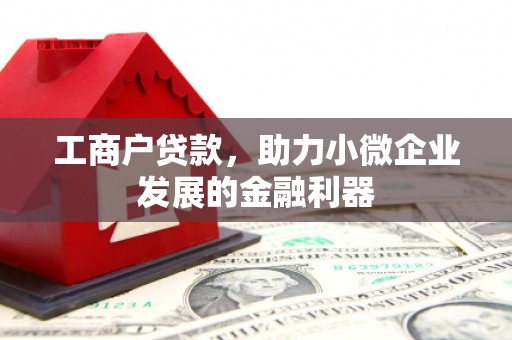 德保工商户贷款，助力小微企业发展的金融利器