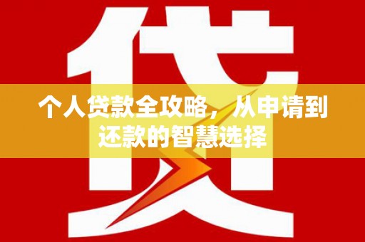 德保个人贷款全攻略，从申请到还款的智慧选择