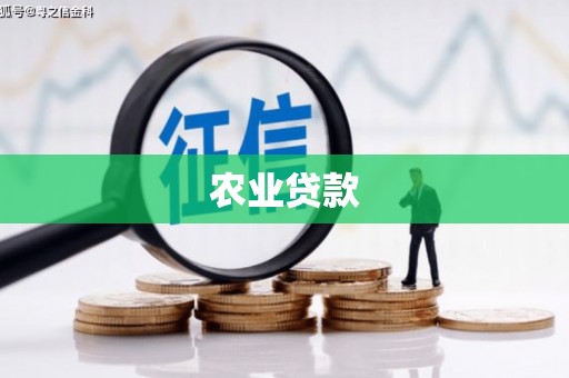 德保农业贷款