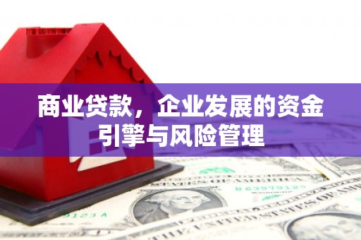 德保商业贷款，企业发展的资金引擎与风险管理