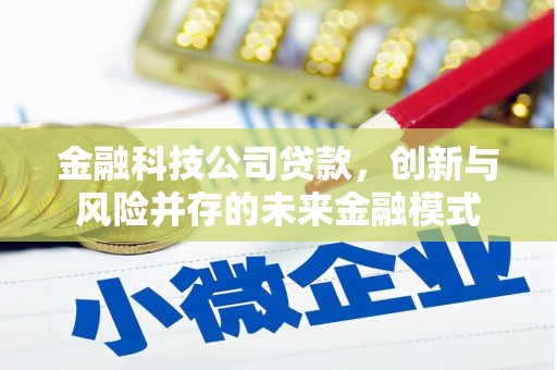 德保金融科技公司贷款，创新与风险并存的未来金融模式