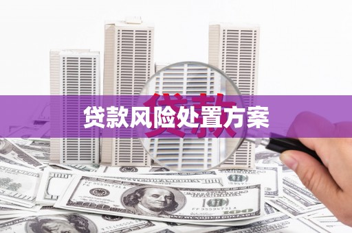 德保贷款风险处置方案