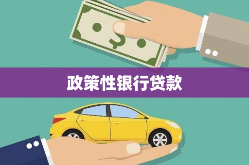 德保政策性银行贷款
