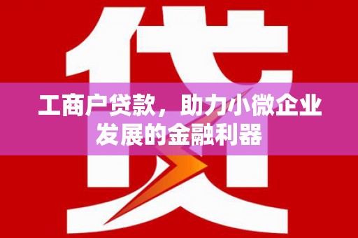 德保工商户贷款，助力小微企业发展的金融利器