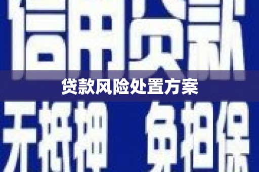 德保贷款风险处置方案