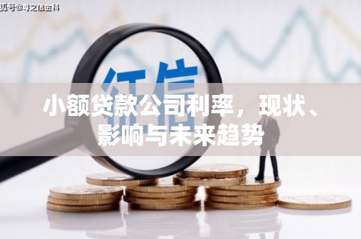 德保小额贷款公司利率，现状、影响与未来趋势
