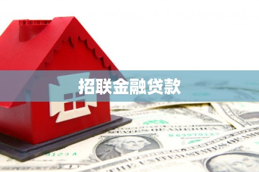 德保招联金融贷款
