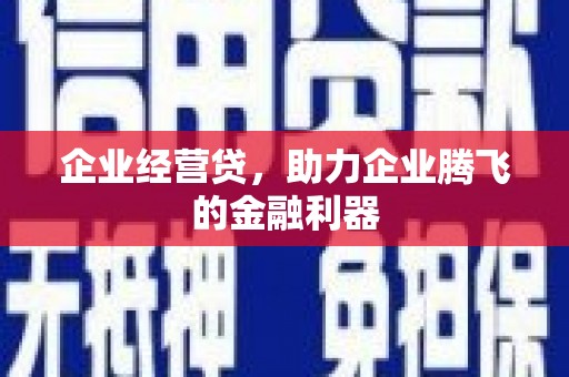 德保企业经营贷，助力企业腾飞的金融利器