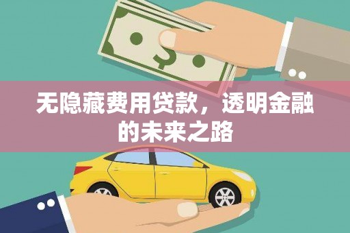 德保无隐藏费用贷款，透明金融的未来之路