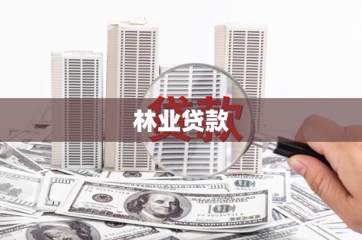 德保林业贷款
