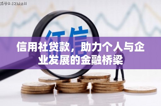 德保信用社贷款，助力个人与企业发展的金融桥梁