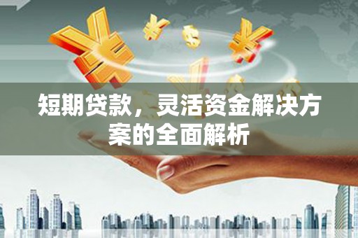 德保短期贷款，灵活资金解决方案的全面解析