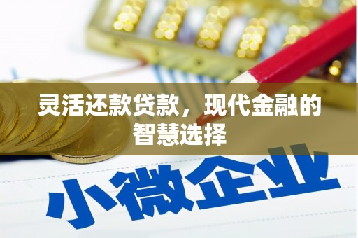 德保灵活还款贷款，现代金融的智慧选择