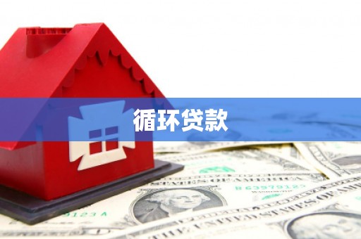 德保循环贷款