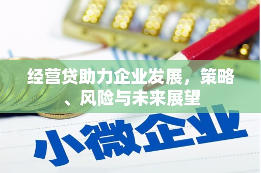 德保经营贷助力企业发展，策略、风险与未来展望