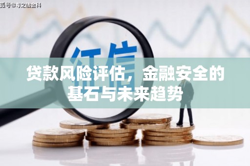 德保贷款风险评估，金融安全的基石与未来趋势