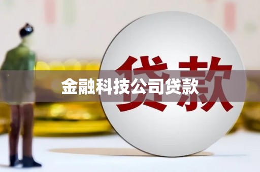 德保金融科技公司贷款