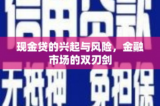 德保现金贷的兴起与风险，金融市场的双刃剑