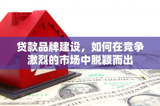 德保贷款品牌建设，如何在竞争激烈的市场中脱颖而出