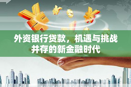 德保外资银行贷款，机遇与挑战并存的新金融时代