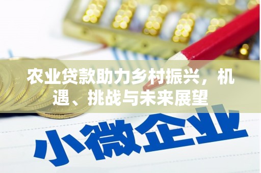 德保农业贷款助力乡村振兴，机遇、挑战与未来展望