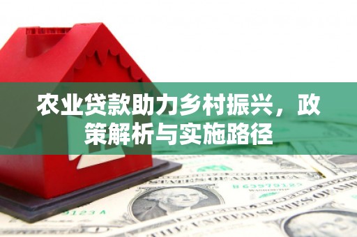 德保农业贷款助力乡村振兴，政策解析与实施路径