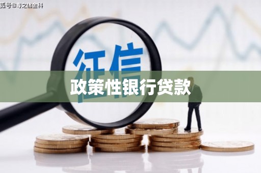 德保政策性银行贷款