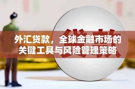 德保外汇贷款，全球金融市场的关键工具与风险管理策略