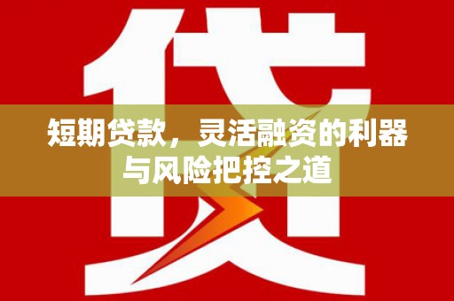 德保短期贷款，灵活融资的利器与风险把控之道