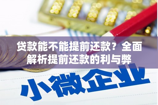 德保贷款能不能提前还款？全面解析提前还款的利与弊