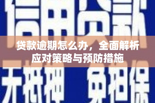 德保贷款逾期怎么办，全面解析应对策略与预防措施