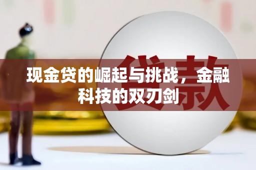 德保现金贷的崛起与挑战，金融科技的双刃剑