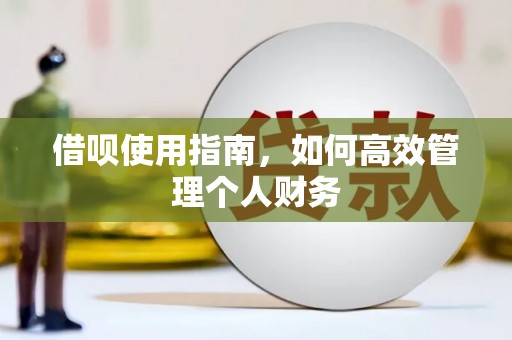 德保借呗使用指南，如何高效管理个人财务