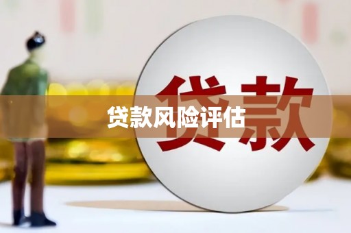 德保贷款风险评估