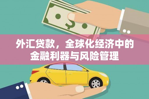 德保外汇贷款，全球化经济中的金融利器与风险管理