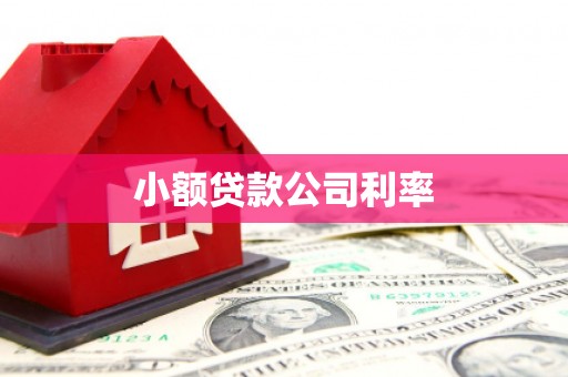 德保小额贷款公司利率