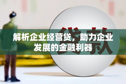 德保解析企业经营贷，助力企业发展的金融利器