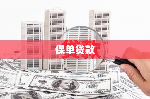 德保保单贷款