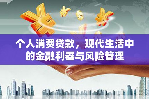 德保个人消费贷款，现代生活中的金融利器与风险管理