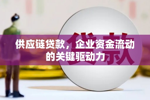 德保供应链贷款，企业资金流动的关键驱动力