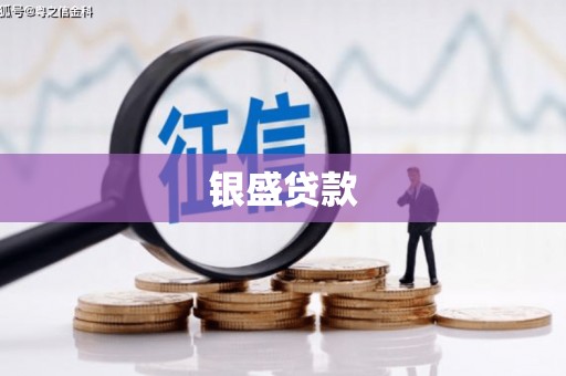 德保银盛贷款