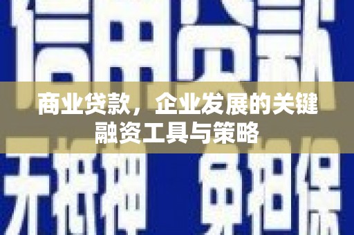 德保商业贷款，企业发展的关键融资工具与策略