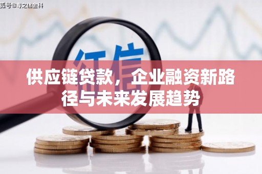 德保供应链贷款，企业融资新路径与未来发展趋势