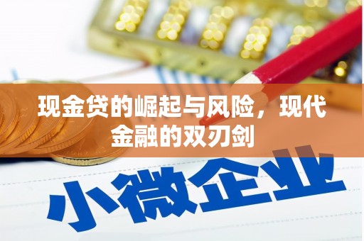 德保现金贷的崛起与风险，现代金融的双刃剑