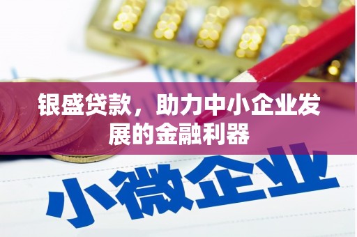 德保银盛贷款，助力中小企业发展的金融利器