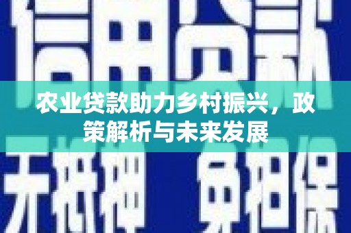 德保农业贷款助力乡村振兴，政策解析与未来发展