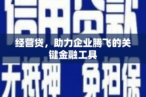 德保经营贷，助力企业腾飞的关键金融工具