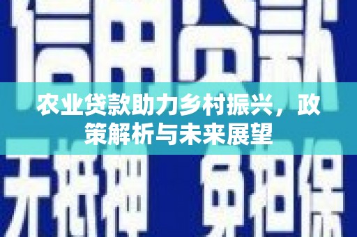 德保农业贷款助力乡村振兴，政策解析与未来展望