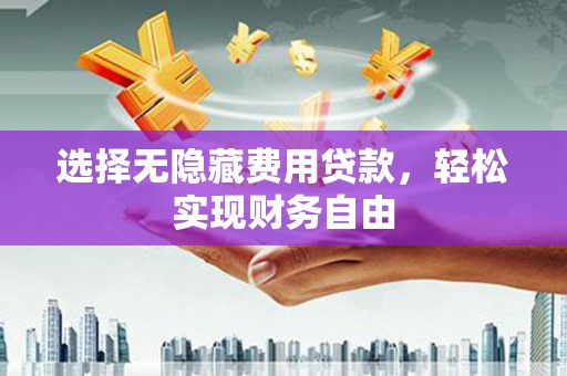 德保选择无隐藏费用贷款，轻松实现财务自由
